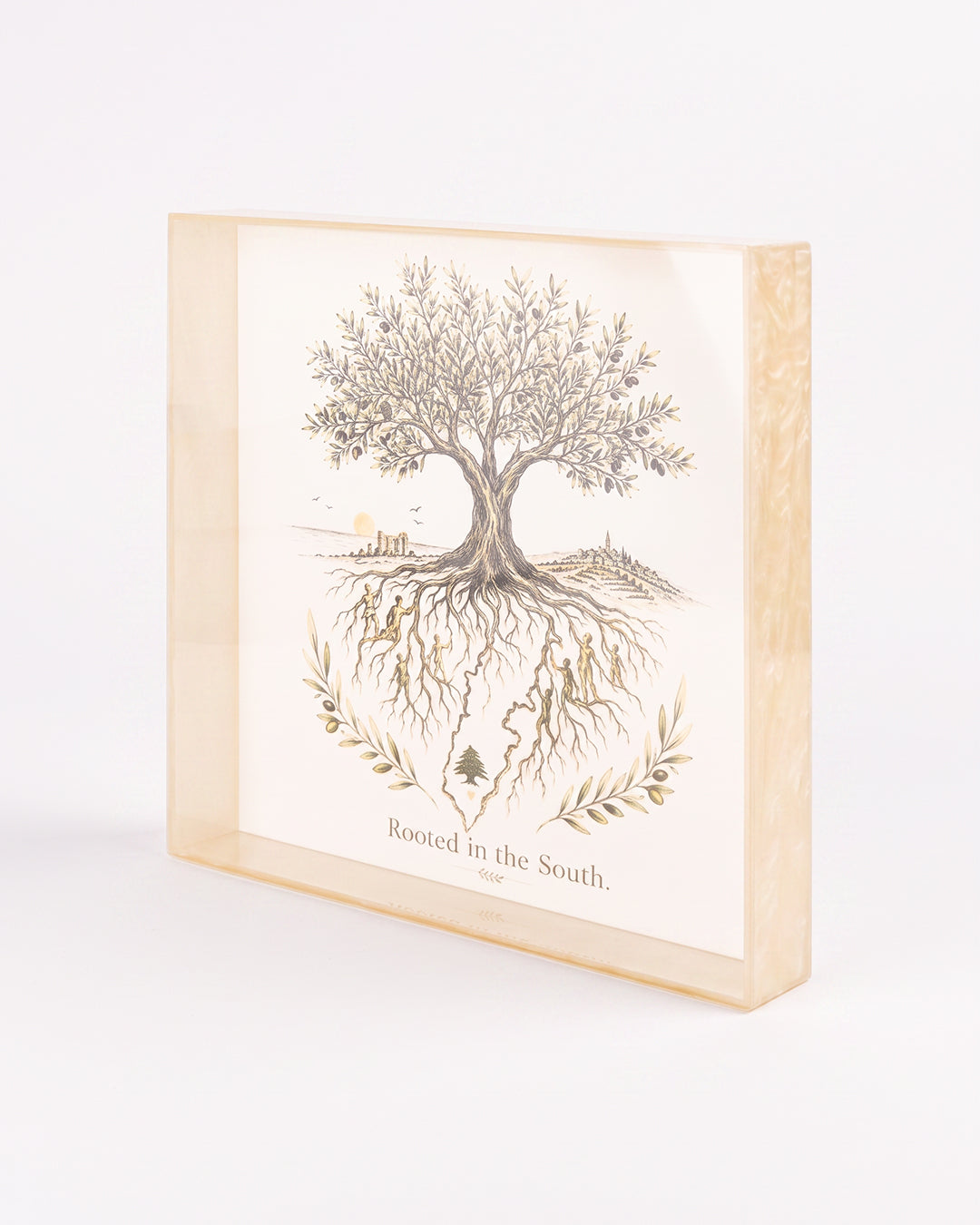 The Southern Roots Frame